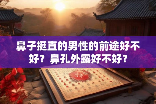 鼻子挺直的男性的前途好不好？鼻孔外露好不好？