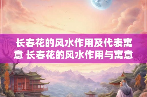 长春花的风水作用及代表寓意 长春花的风水作用与寓意