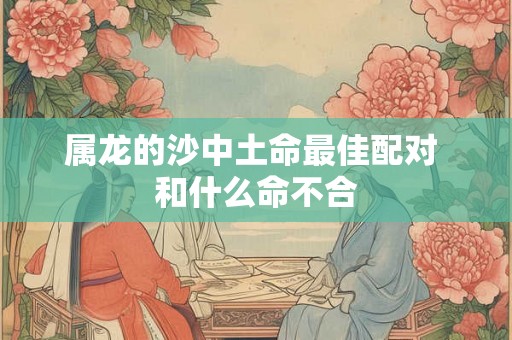 属龙的沙中土命最佳配对 和什么命不合