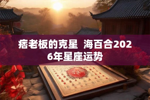 痞老板的克星  海百合2026年星座运势