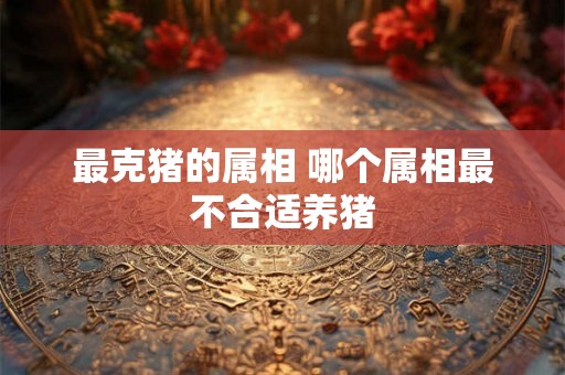 最克猪的属相 哪个属相最不合适养猪