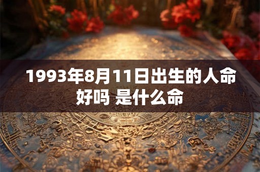 1993年8月11日出生的人命好吗 是什么命