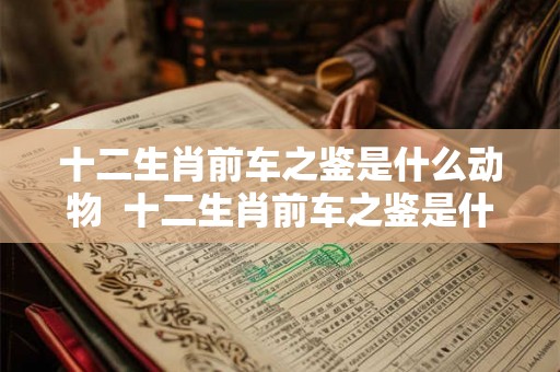 十二生肖前车之鉴是什么动物 十二生肖前车之鉴是什么生肖 十二生肖前车之鉴是什么动物 十二生肖前车之鉴是什么生肖