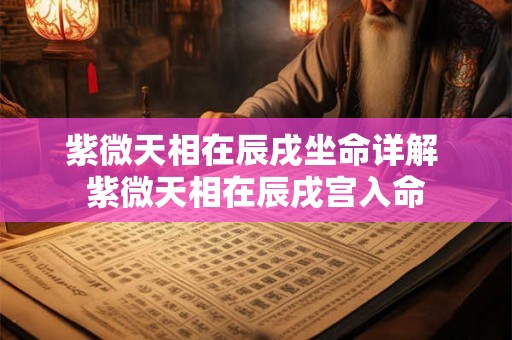 紫微天相在辰戌坐命详解 紫微天相在辰戌宫入命 紫微天相在辰戌坐命详解 紫微天相在辰戌宫入命