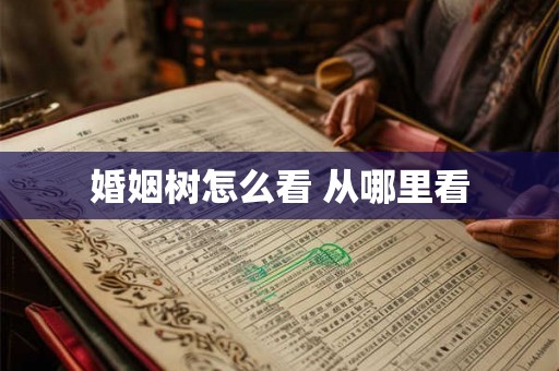 婚姻树怎么看 从哪里看