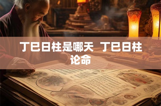 丁巳日柱是哪天  丁巳日柱论命