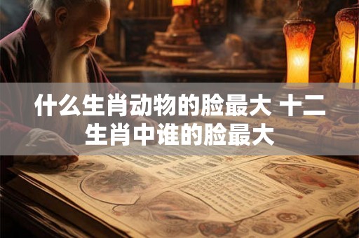 什么生肖动物的脸最大 十二生肖中谁的脸最大