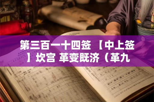 第三百一十四签 【中上签】坎宫 革变既济(革九 第三百一十四签 【中上签】坎宫 革变既济(革九