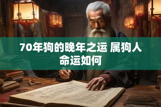 70年狗的晚年之运 属狗人命运如何