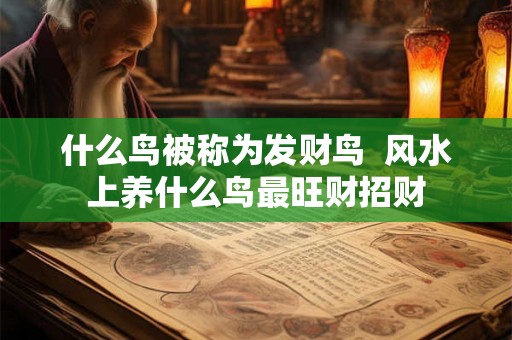 什么鸟被称为发财鸟 风水上养什么鸟最旺财招财 什么鸟被称为发财鸟 风水上养什么鸟最旺财招财