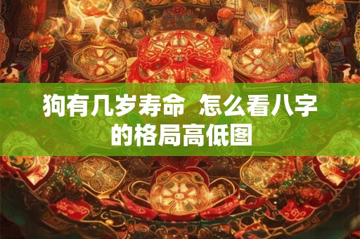 狗有几岁寿命  怎么看八字的格局高低图