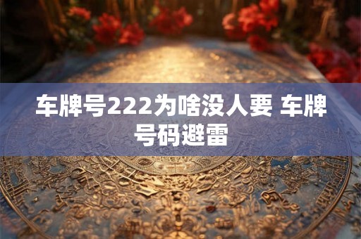 车牌号222为啥没人要 车牌号码避雷