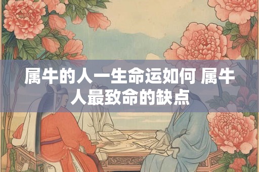属牛的人一生命运如何 属牛人最致命的缺点