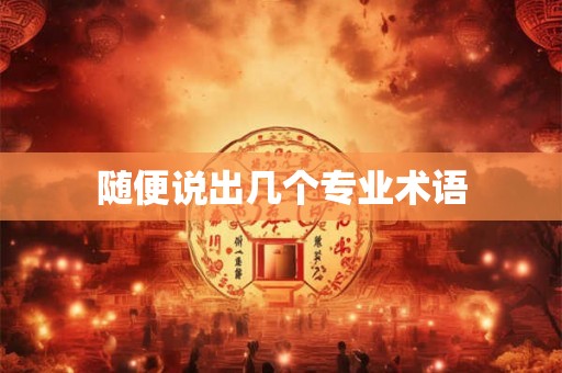 随便说出几个专业术语