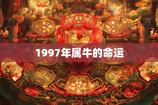 1997年属牛的命运