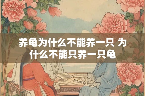 养龟为什么不能养一只 为什么不能只养一只龟