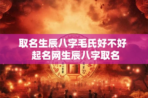 取名生辰八字毛氏好不好  起名网生辰八字取名