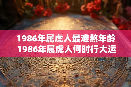 1986年属虎人最难熬年龄 1986年属虎人何时行大运 1986年属虎人最难熬年龄 1986年属虎人何时行大运