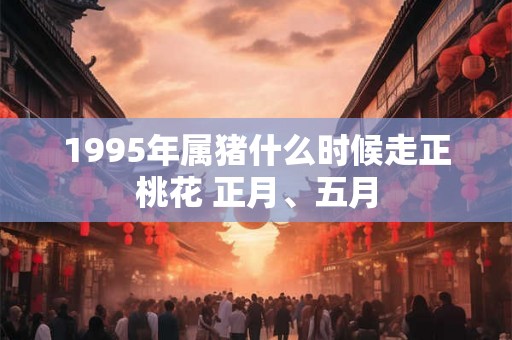 1995年属猪什么时候走正桃花 正月、五月 1995年属猪什么时候走正桃花 正月、五月