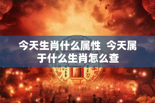 今天生肖什么属性  今天属于什么生肖怎么查