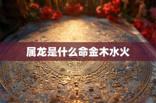 属龙是什么命金木水火