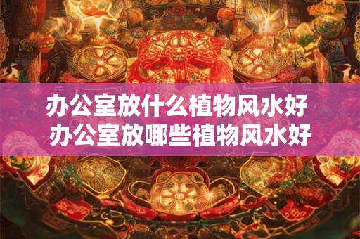 办公室放什么植物风水好 办公室放哪些植物风水好