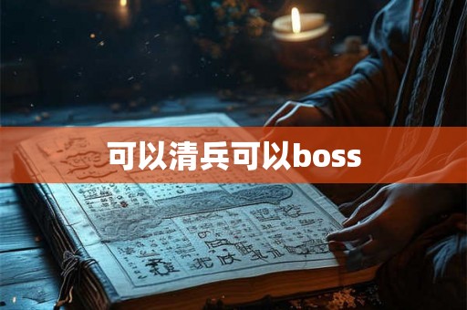 可以清兵可以boss