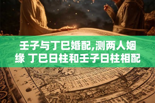 壬子与丁巳婚配,测两人姻缘 丁巳日柱和壬子日柱相配吗？