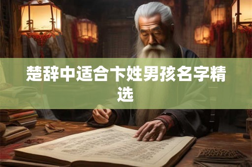 楚辞中适合卞姓男孩名字精选
