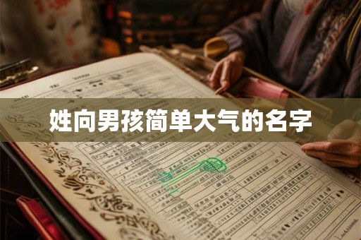 姓向男孩简单大气的名字