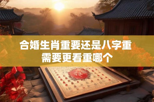 合婚生肖重要还是八字重 需要更看重哪个
