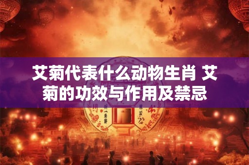 艾菊代表什么动物生肖 艾菊的功效与作用及禁忌