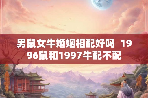 男鼠女牛婚姻相配好吗  1996鼠和1997牛配不配
