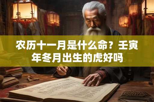 农历十一月是什么命?壬寅年冬月出生的虎好吗 农历十一月是什么命?壬寅年冬月出生的虎好吗