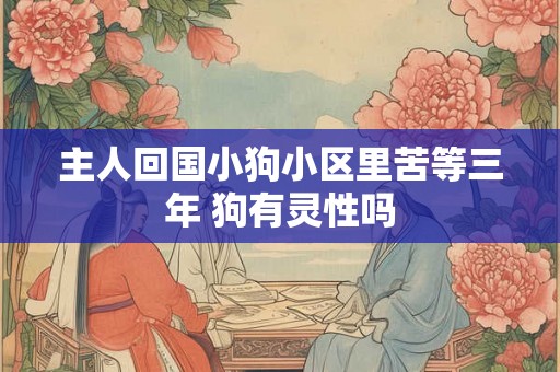 主人回国小狗小区里苦等三年 狗有灵性吗