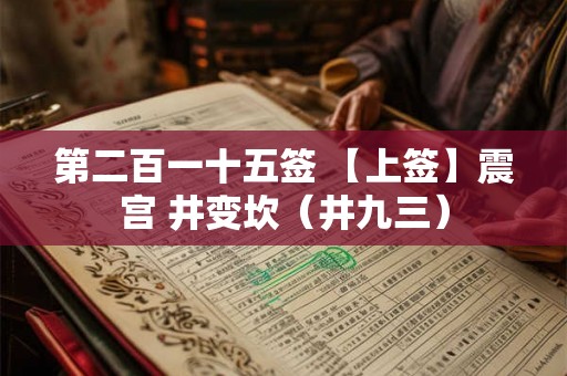 第二百一十五签 【上签】震宫 井变坎（井九三）