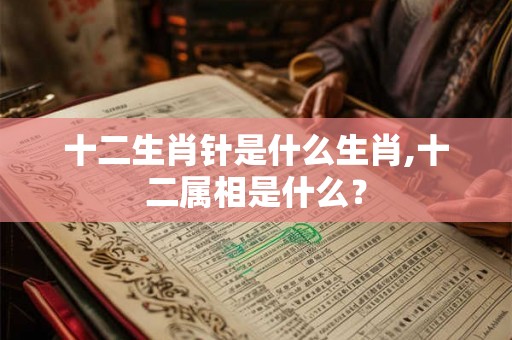 十二生肖针是什么生肖,十二属相是什么？