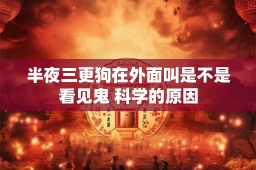 半夜三更狗在外面叫是不是看见鬼 科学的原因