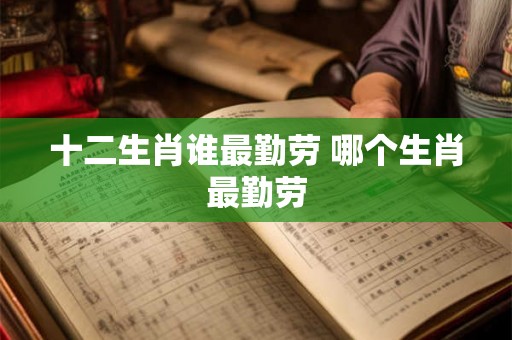 十二生肖谁最勤劳 哪个生肖最勤劳
