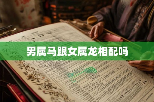 男属马跟女属龙相配吗