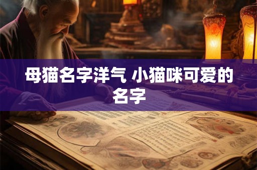 母猫名字洋气 小猫咪可爱的名字