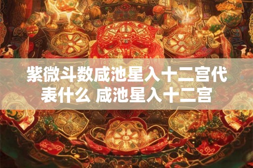紫微斗数咸池星入十二宫代表什么 咸池星入十二宫