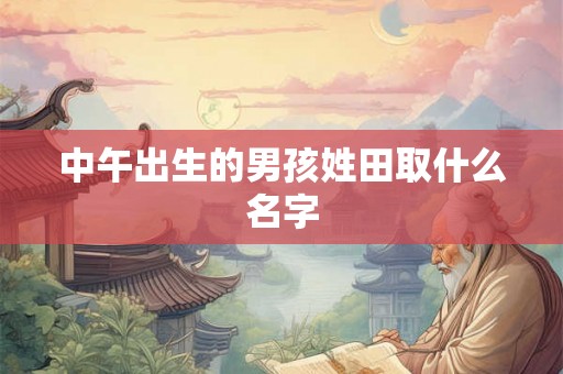 中午出生的男孩姓田取什么名字