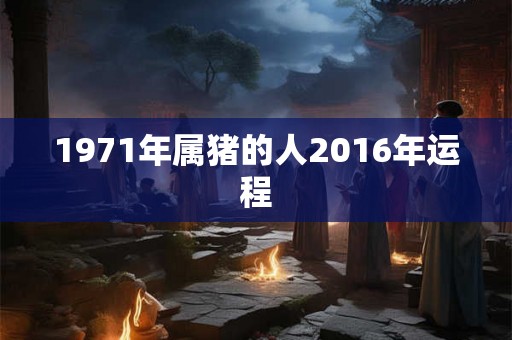 1971年属猪的人2016年运程 1971年属猪的人2016年运程