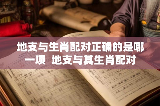 地支与生肖配对正确的是哪一项  地支与其生肖配对