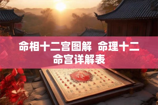 命相十二宫图解  命理十二命宫详解表