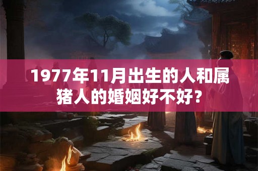 1977年11月出生的人和属猪人的婚姻好不好？