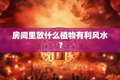 房间里放什么植物有利风水？