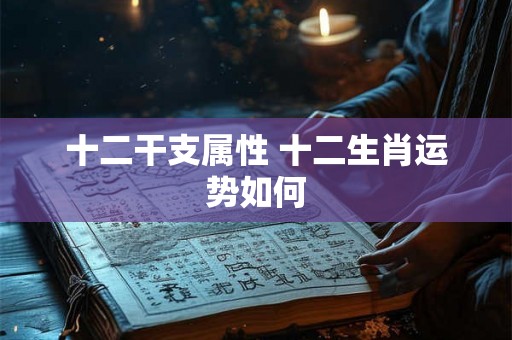 十二干支属性 十二生肖运势如何