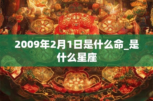 2009年2月1日是什么命_是什么星座